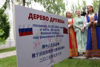 Китайская делегация