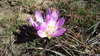 Третье издание красной книги