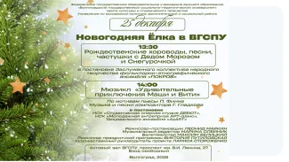 Новогоднее представление 2025