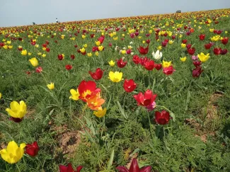 Фото Облкомприроды