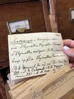 Первокурсники-филологи ВГСПУ  завершили производственную практику в Северной столице 