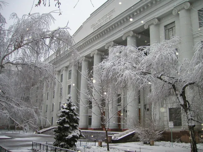 Ученые ВГСПУ - на ведущих конференциях по русскому языку как иностранному: фокус на Африке и цифровых технологиях