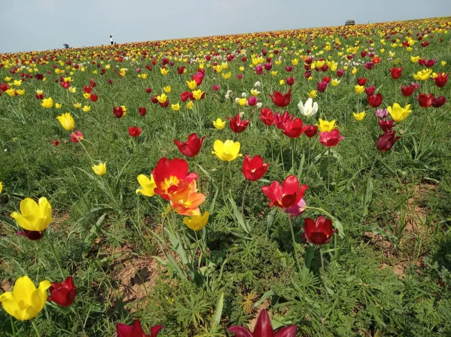 Фото Облкомприроды